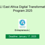 YALI East Africa Digital Transformation Program 2025