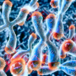 JAMB Syllabus for Biology 2025/2026