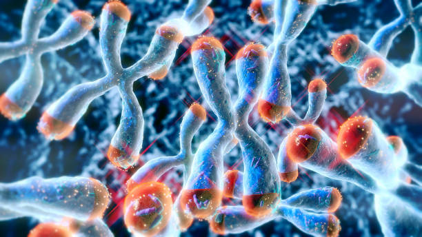 JAMB Syllabus for Biology 2025/2026