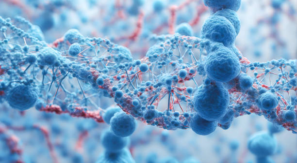 JAMB Syllabus for Biology 2025