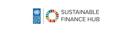 Apply Now: UNDP Private Finance for the SDGs Internship (Remote with Monthly Stipend)
