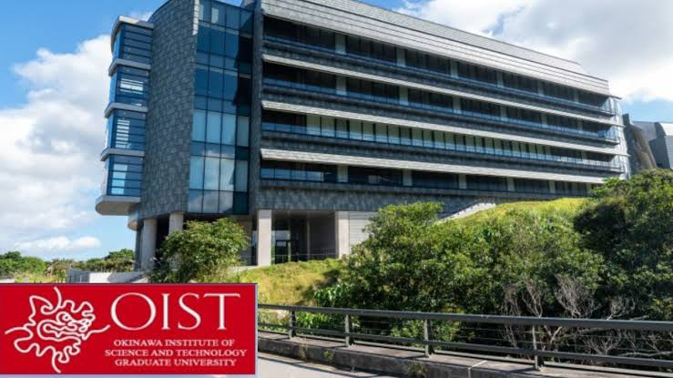 OIST Internship 2025